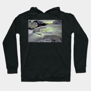 Nouvelle Zélande - Rotorua, Te Puia Hoodie